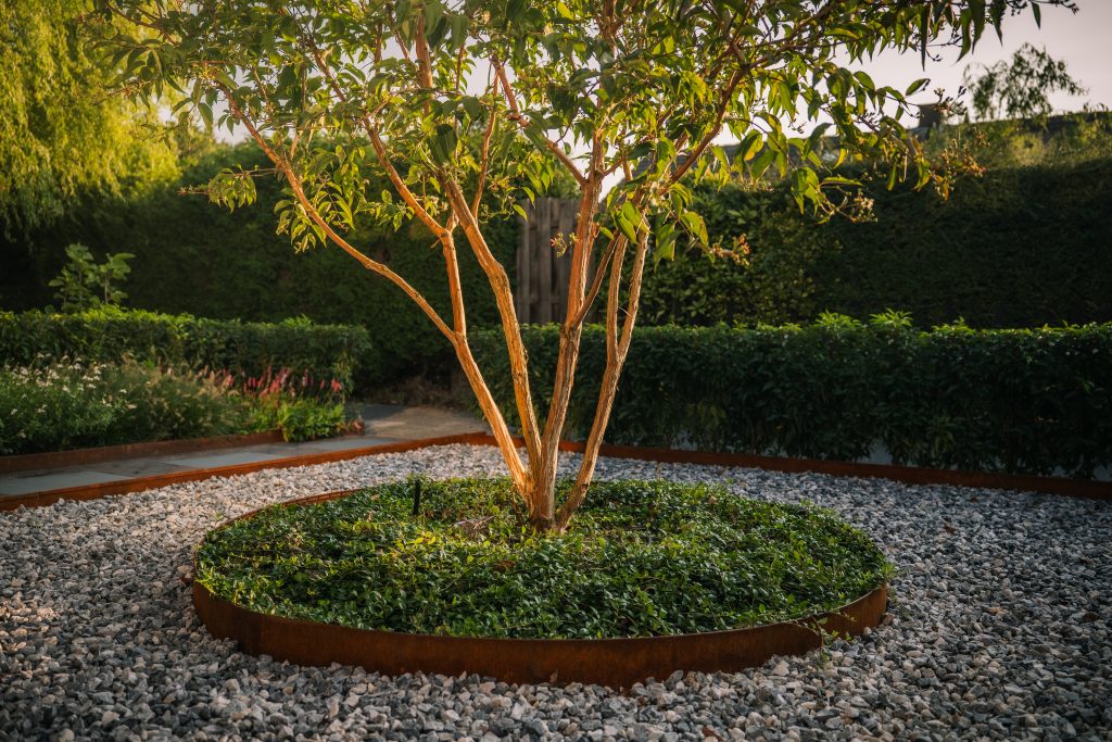 Tuinontwerp uitgevoerd door hovenier met aandacht voor esthetiek en gebruiksgemak