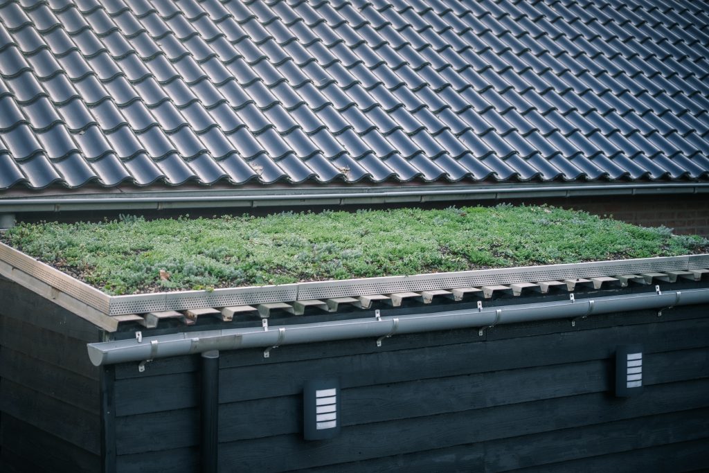 Groen dak met sedumbeplanting voor verduurzaming van het dak