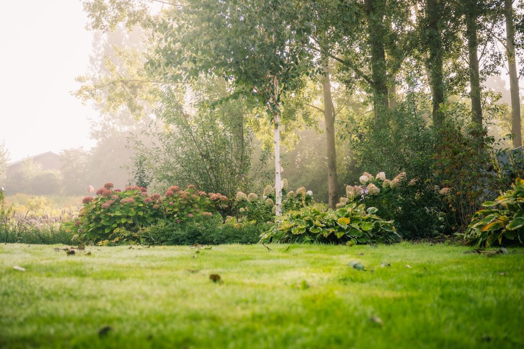 Verticuteren van gras voor gezond gazon in Rivierenland