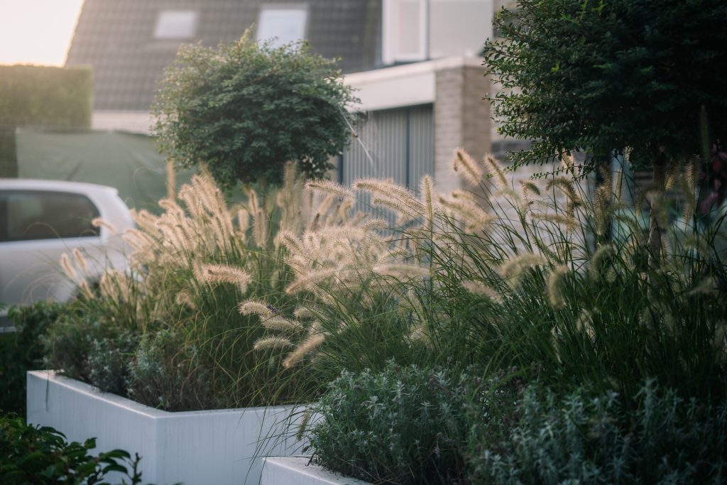 Plantenbakken en houtbouw